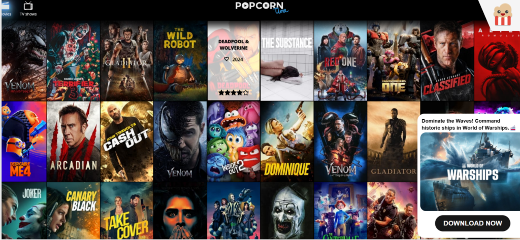 What You Need to Know Before Accessing Sites Like Popcorn Time