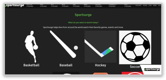 SportSurge