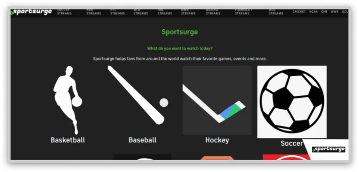 SportSurge