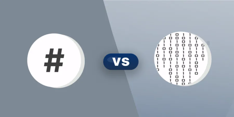 Hashing vs. Encryption: Which One to Use